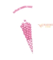 Sacchetti Cellophane Cono Polka New Pink 9 x 27 cm 10 pezzi